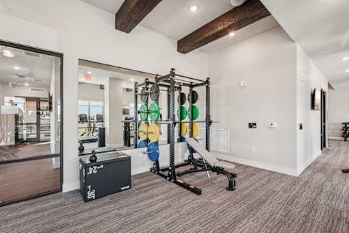 A gym with a weight rack, bench, and weights at The Stadler Luxury Apartments, Bradenton, FL 34210
