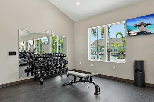 A gym with a row of dumbbells and a bench.