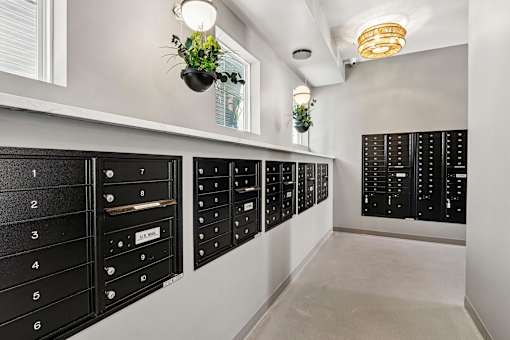 Mail room with black mailbox units and hanging planters at Velara Luxury Apartments, Florida, 32081