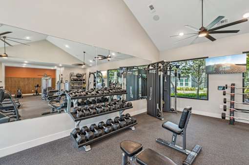 A spacious home gym with a variety of equipment including dumbbells, weight plates, and a bench press. at The Sophia, Venice, FL