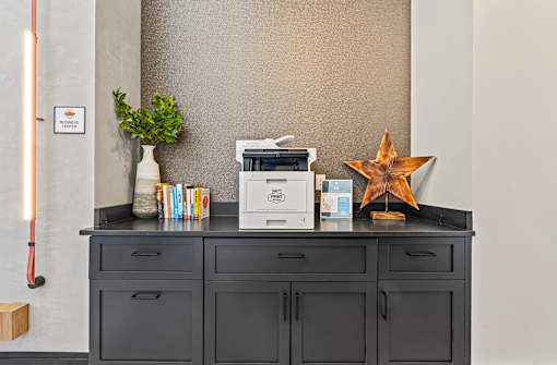 A black cabinet with a printer, a plant, and a star decoration on top.