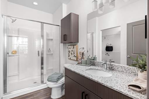 A modern bathroom with a walk-in shower and double sink vanity.