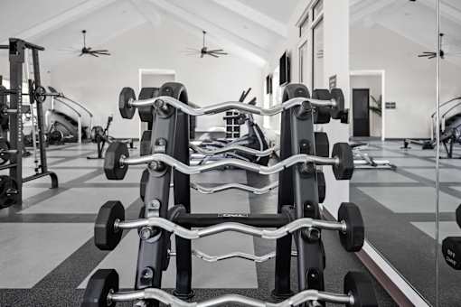 A gym with a row of weight machines.