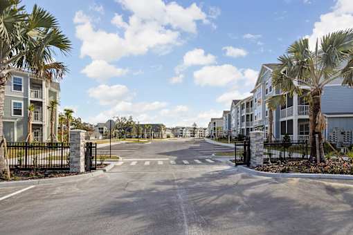 A street view of a residential area with houses on both sides and palm trees lining the street.
