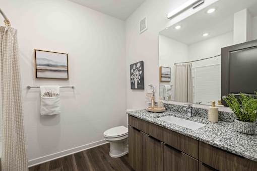 Bathroom Sink And Mirror at Terrassa Luxury Apartments, Florida, 32084
