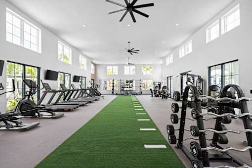 A gym with a green carpet and various exercise equipment.