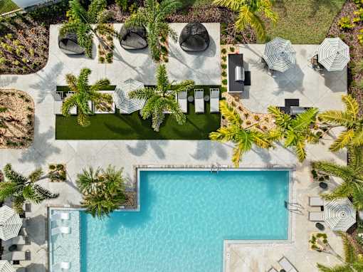 An aerial view of a pool surrounded by palm trees and lounge chairs.