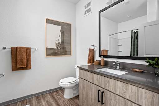 A bathroom with a toilet, sink, mirror, and a picture hanging on the wall.