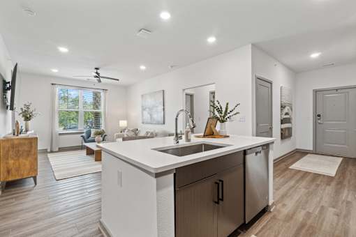 Kitchen Sink at The Quinn Luxury Apartments, Pensacola