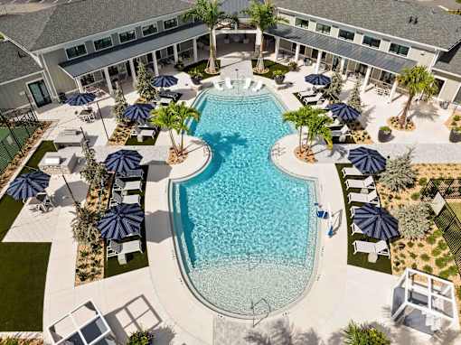 A large outdoor swimming pool surrounded by lounge chairs and umbrellas at Verity Luxury Apartments, Vero Beach, FL 32960