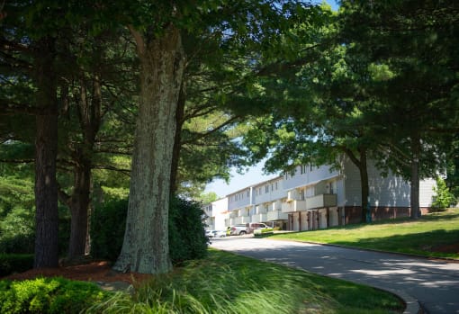 Lush Green Outdoor at Holiday Park Apartments, Pittsburgh