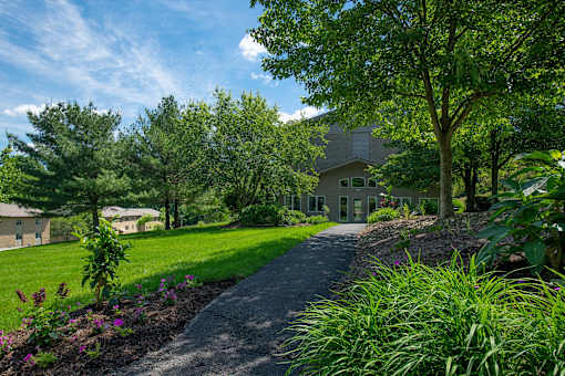 A house with a driveway and trees in front of it.