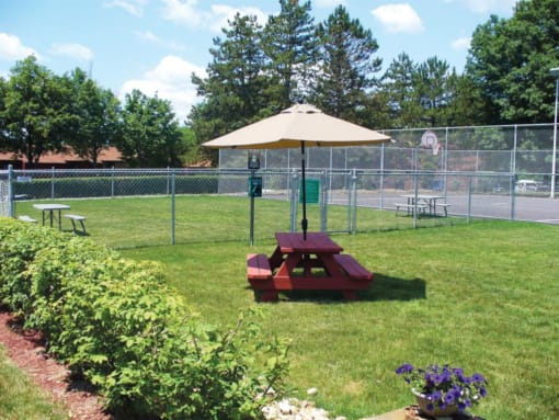 Off leash dog park  at Deauville Park Apartments, Pennsylvania, 15146