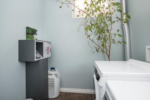 Laundry at 16 Edmonton Apartment Suites in Winnipeg, MB