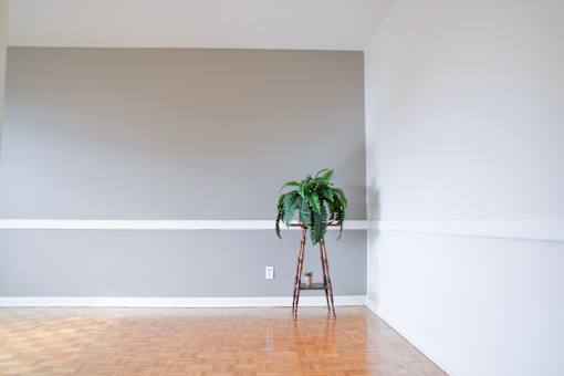 Living room with large bright window and hardwood flooring at 359 Edison.