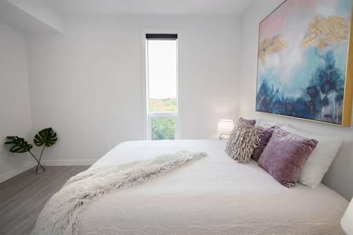 Luxury 2 Bedroom Suite at 703 St Annes Road
