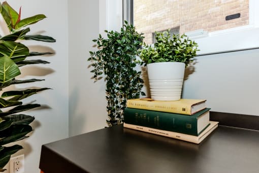 a stack of books sitting on top of a table with a plant