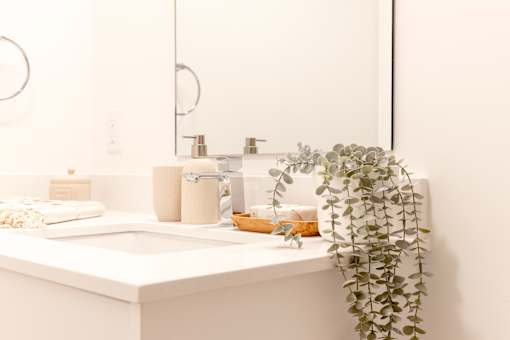 A white bathroom sink with a plant on the side.