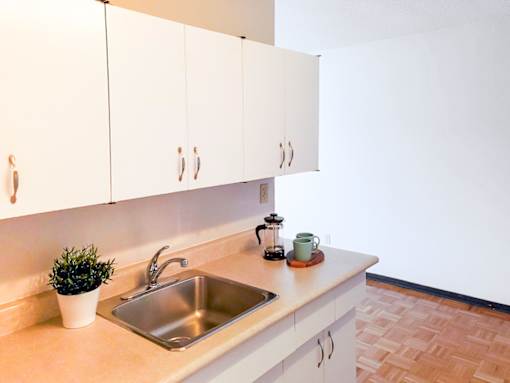 Spacious kitchen counter with white cabinets, stainless steel sink, and modern decor at 1025 Munroe pet-friendly apartments in Winnipeg.