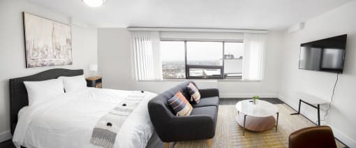 Studio Suite