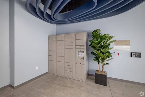 A room with a large cabinet and a plant.