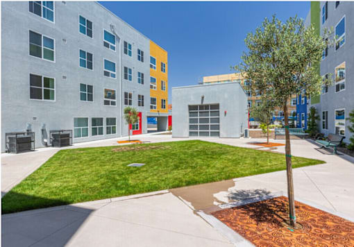 A tree in a brown planter sits in the middle of a grassy area between two buildings.
