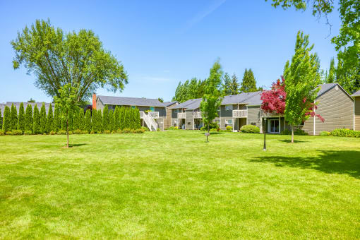 a grassy area with houses in the background at Chalet, Springfield, OR