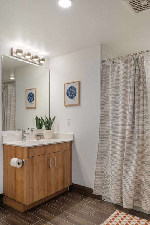 A bathroom with a wooden vanity and a shower curtain.