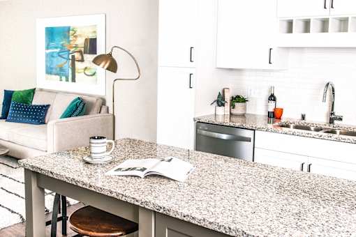Modern kitchen with sleek stainless steel appliances, granite countertops, a built-in dishwasher, and a stylish gas range. Minnetonka, MN.