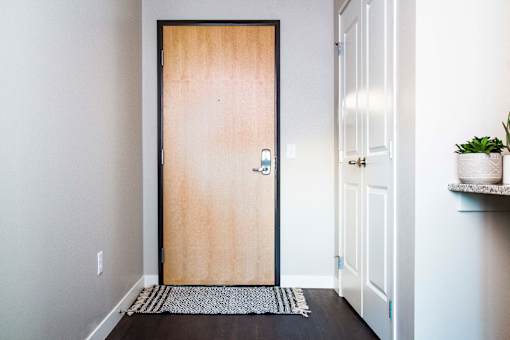 Inviting apartment entrance with stain-resistant flooring adds a practical and stylish touch, creating a welcoming and low-maintenance entryway.