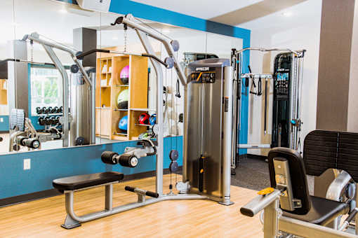 Vibrant fitness center within the apartment complex, equipped with modern amenities. The image captures a well-lit space filled with state-of-the-art exercise equipment, including treadmills, elliptical machines, and an array of free weights.