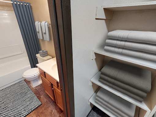 Mountain View Apartments - Bathroom