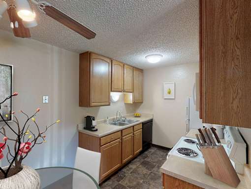 Mountain View Apartments - Kitchen