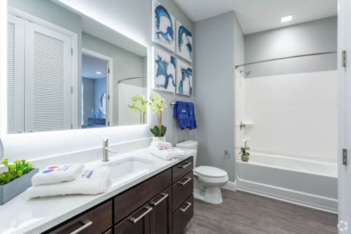 a bathroom with a large mirror and a toilet