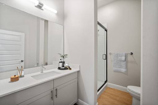 Modern Bathroom at Avilla Cypress Creek, Sun City Center, FL 33573