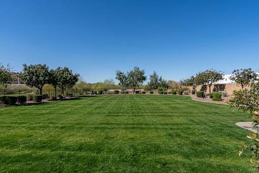 A large, well-maintained lawn with a clear blue sky above.