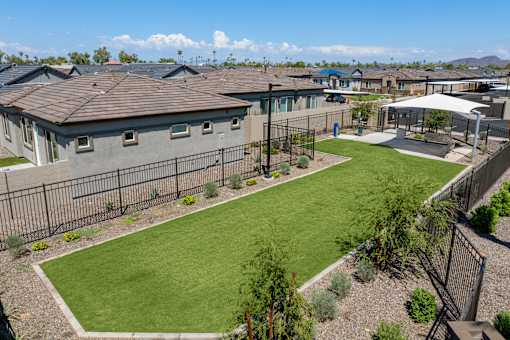 On-Site Dog Park at Avilla Palomino, Glendale, AZ 85302