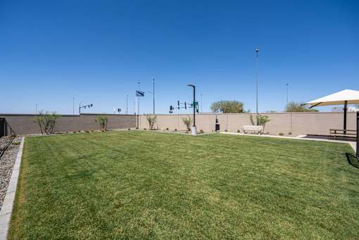 On-Site Dog Park at Avilla Marigold, Buckeye, AZ 85396