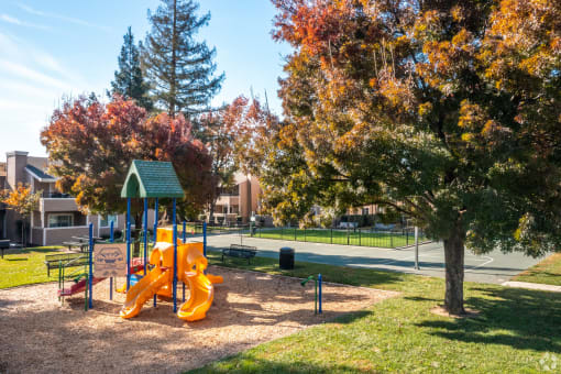 a playground in a park with a tree