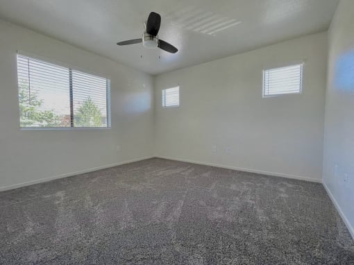 Plush Carpeting at Sharlands Terrace Apartments, Nevada