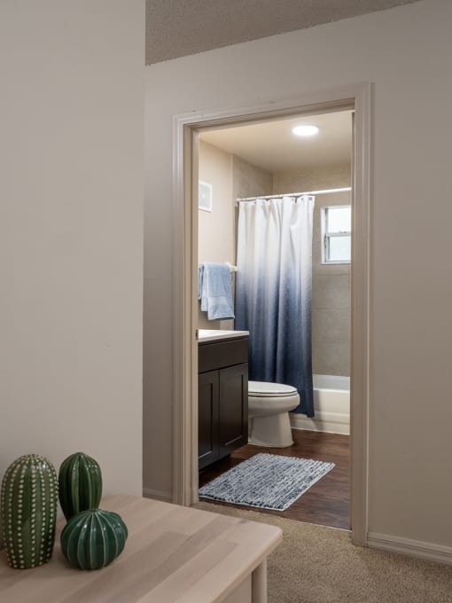 a bathroom with a toilet and a shower and a table with two cactuses at The Fountains Apartments, Pensacola, Florida