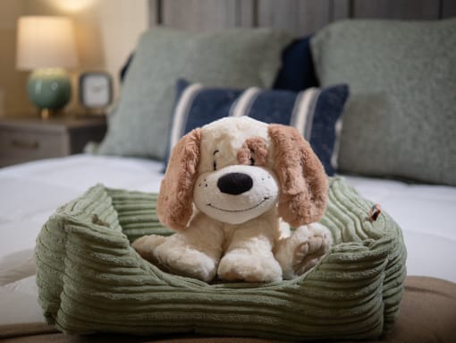 a stuffed dog is sitting on a bed at The Fountains Apartments, Pensacola, Florida, 32514