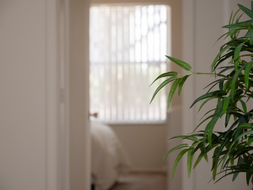 a room with a plant and a window at The Fountains Apartments, Pensacola, 32514