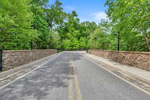 A road with a yellow line in the middle and trees on both sides.