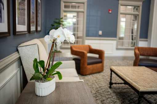 A white vase with flowers sits on a table in a room with blue walls.at Spring Arbor of Williamsburg in Williamsburg, VA
