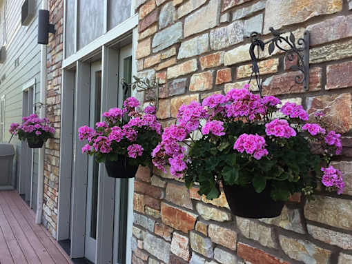 Flowers in a pot hanging on a wall at The Shores of Lake Phalen, Maplewood, MN.