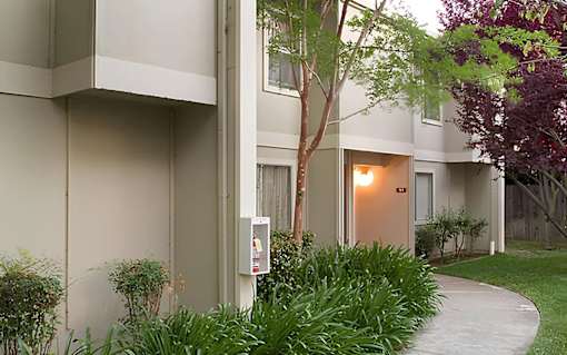 A modern building with a tree in front of it.