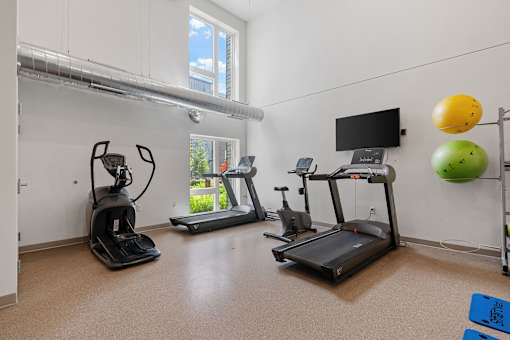 a gym with treadmills and exercise balls and a tv