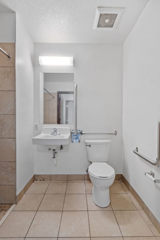 a bathroom with a toilet and a sink and a mirror