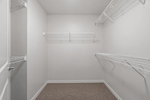 spacious walk in closet with hanging racks and white walls and carpeted flooring